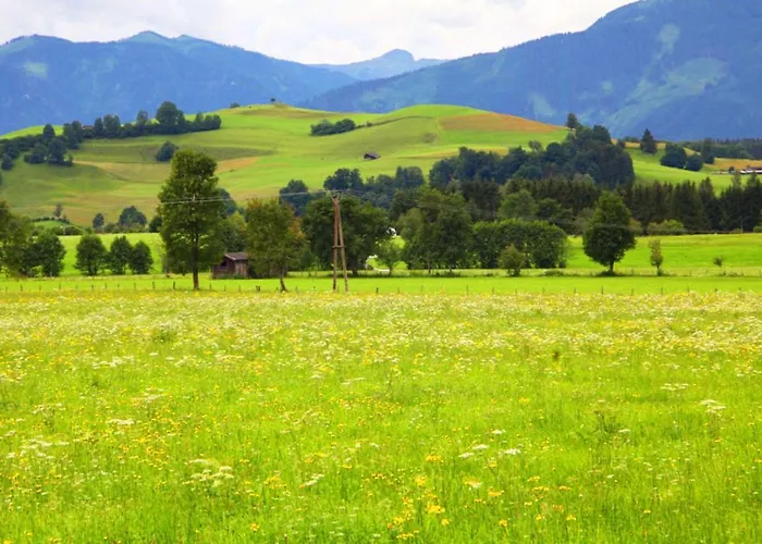 Hanne * ザールフェルデン・アム・シュタイナーネン・メアー